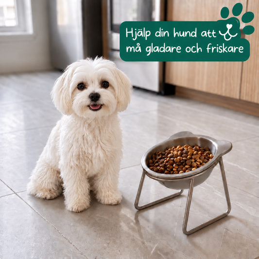 Sundatass™ Ortopedisk Hundskål